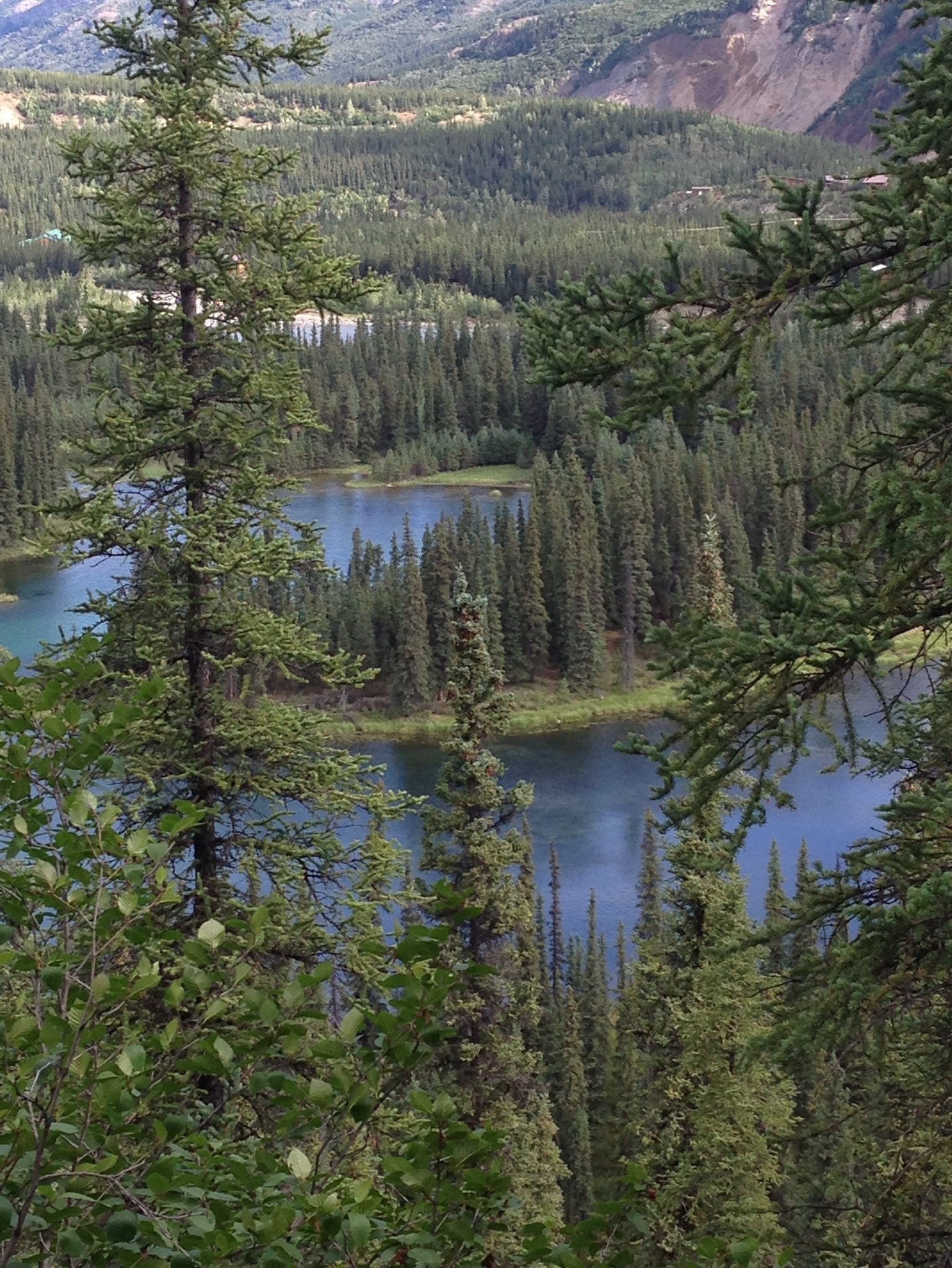 Horseshoe Lake Trail